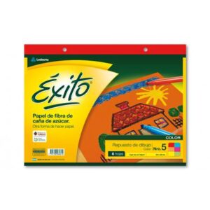 REPUESTO DIBUJO EXITO N5 COLOR