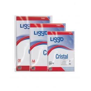 FOLIO LIGGO A4 CRISTAL X100 40 MIC