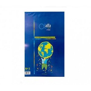 MAPA N5 X20 ASIA FISICO POLITICO