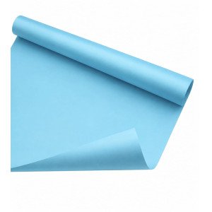CARTULINA CARPEL CELESTE /20