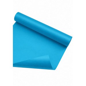 CARTULINA CARPEL TURQUESA /20