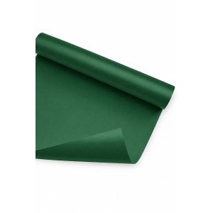 CARTULINA CARPEL VERDE OSCURO /20