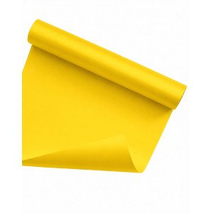 CARTULINA CARPEL AMARILLA/O /20/400