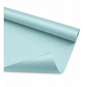 CARTULINA CARPEL CELESTE PASTEL /20