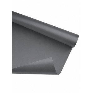 CARTULINA CARPEL GRIS /20