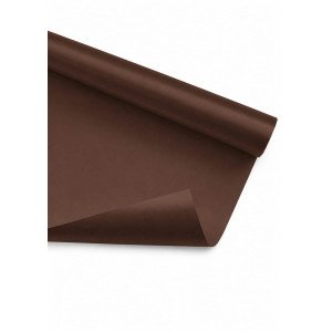 CARTULINA CARPEL MARRON /20