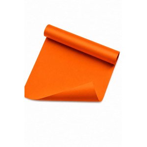 CARTULINA CARPEL NARANJA /20