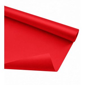 CARTULINA CARPEL ROJO /20
