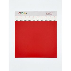BRAZALETE SEGURIDAD CBX X100 ROJO /5